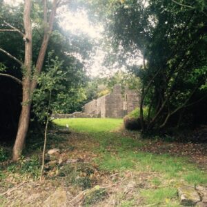 Island Retreat Lough Key